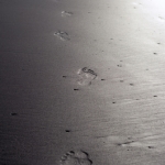 alexander technique footprint