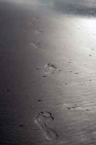 alexander technique footprint