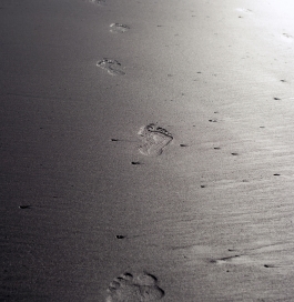 alexander technique footprint