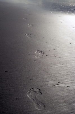 alexander technique footprint